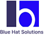 BlueHotsolution Logo